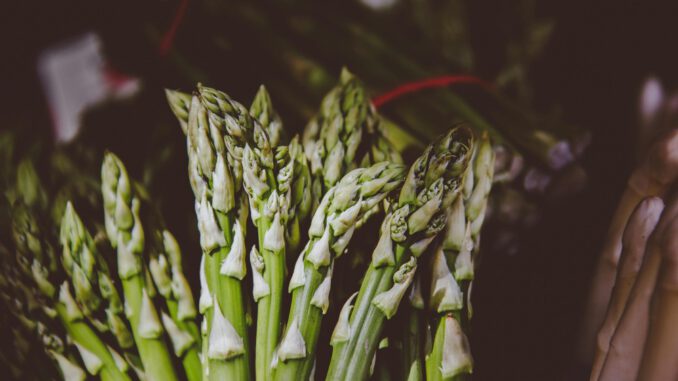 Deutscher Spargelanbau schrumpft deutlich in den letzten zehn Jahren