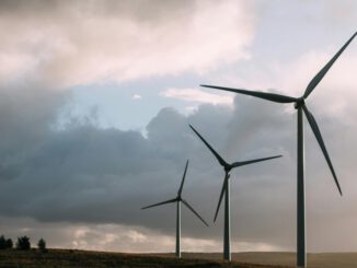 Windkraft treibt erneuerbare Mehrheit bei der Stromerzeugung im ersten Quartal 2026